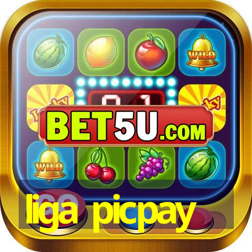 liga picpay