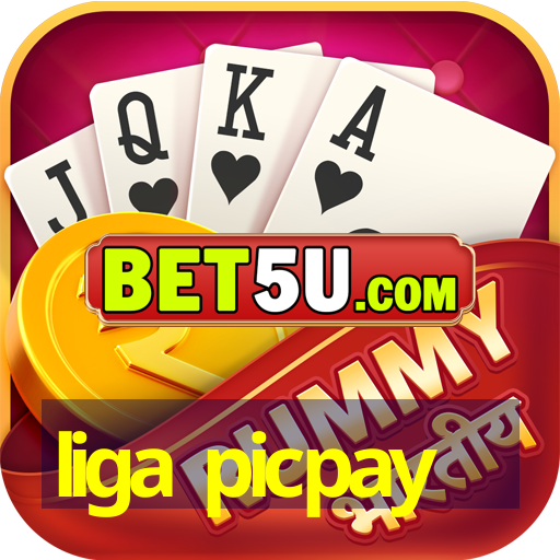 liga picpay