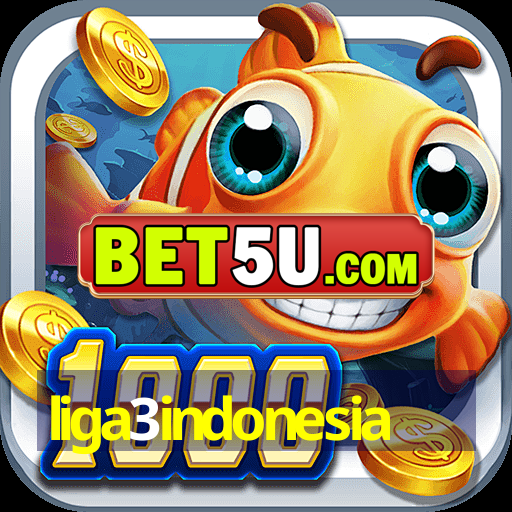 liga3indonesia