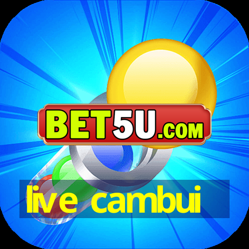 live cambui