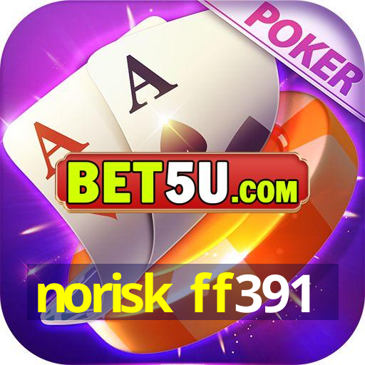 norisk ff391