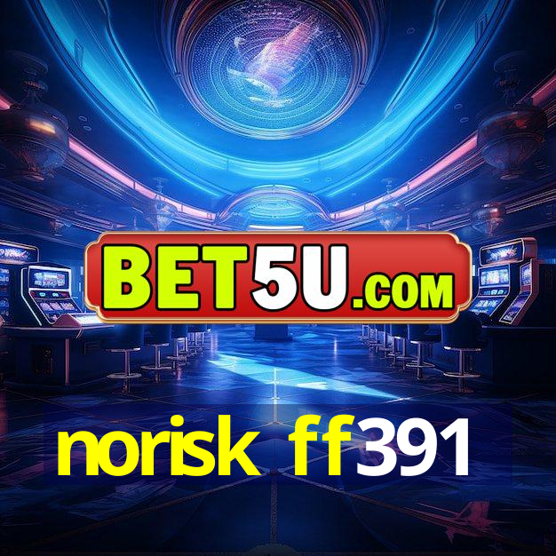 norisk ff391