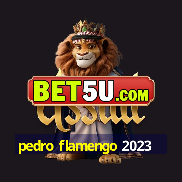 pedro flamengo 2023