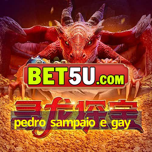 pedro sampaio e gay