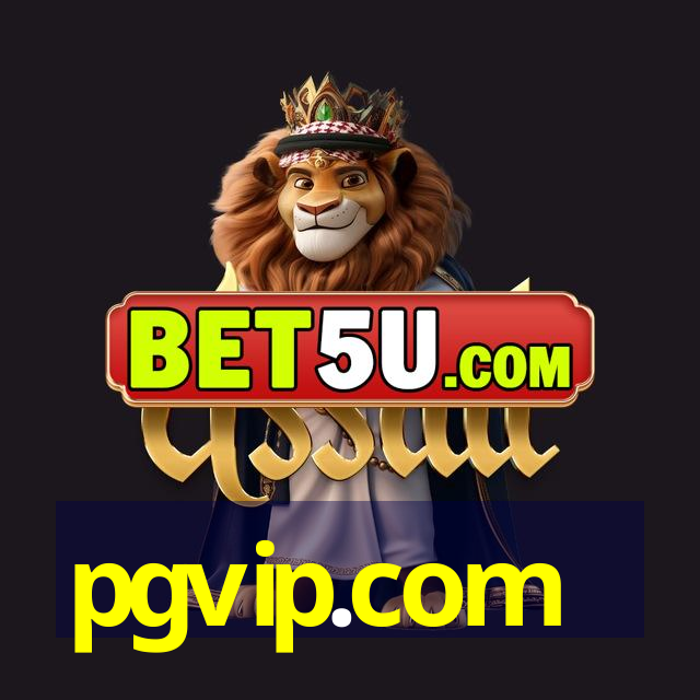 pgvip.com