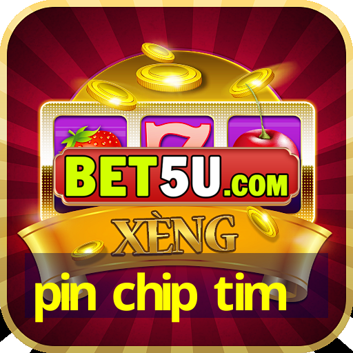 pin chip tim