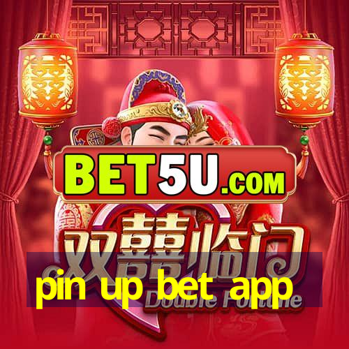 pin up bet app