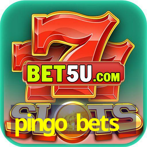 pingo bets