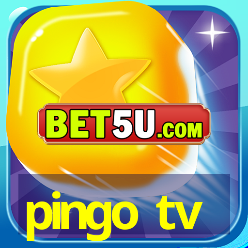 pingo tv