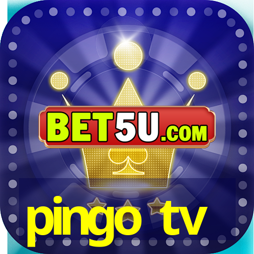 pingo tv