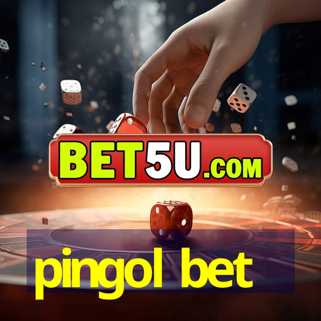 pingol bet