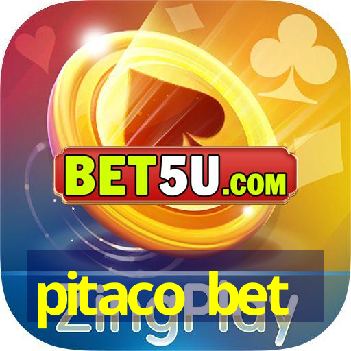 pitaco bet