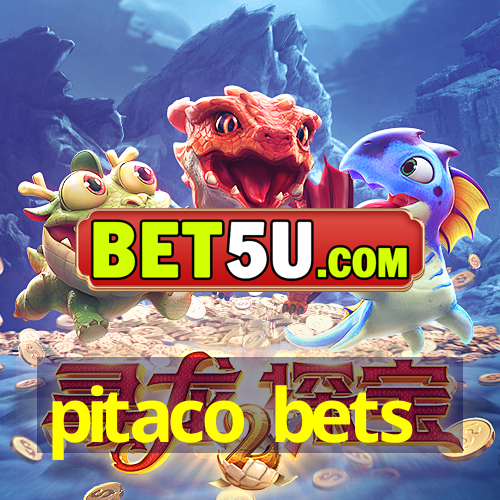 pitaco bets