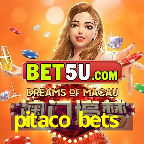 pitaco bets