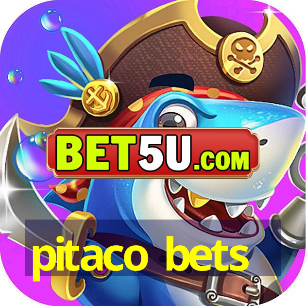 pitaco bets