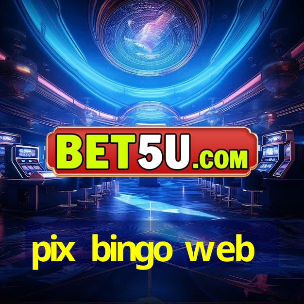 pix bingo web