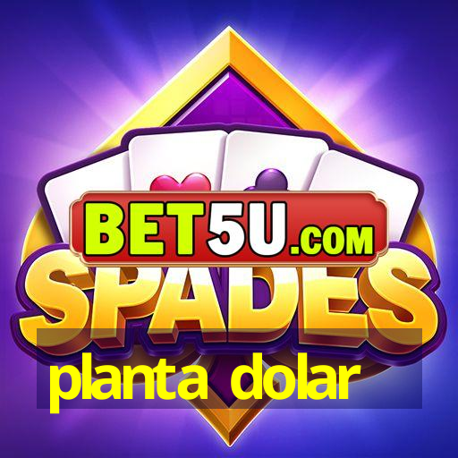 planta dolar