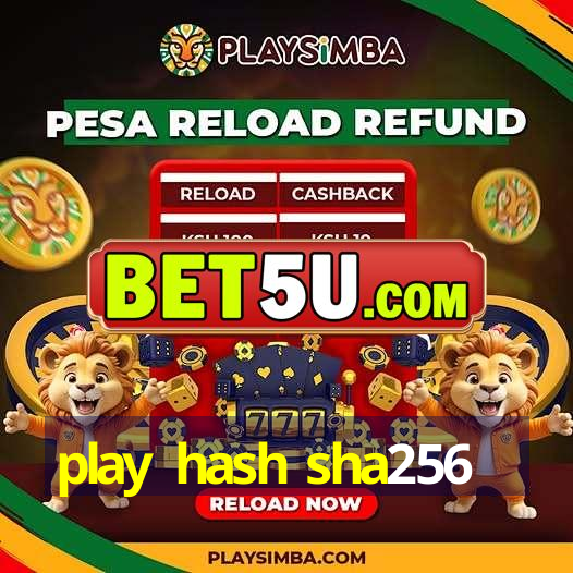 play hash sha256