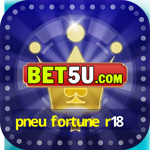 pneu fortune r18