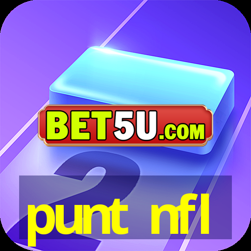 punt nfl