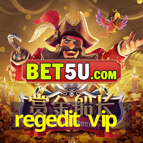 regedit vip