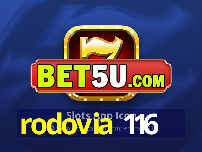 rodovia 116