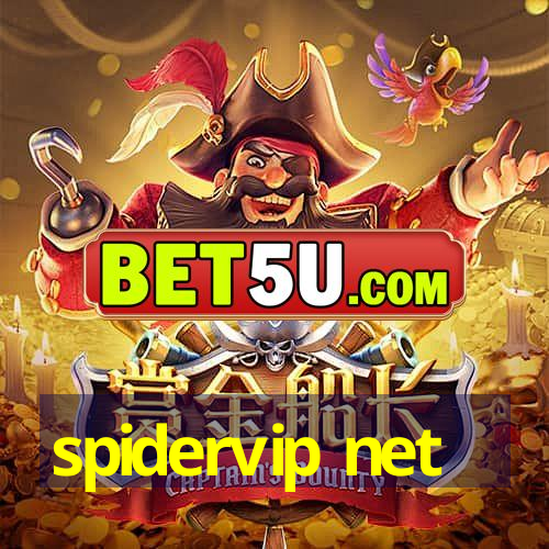 spidervip net