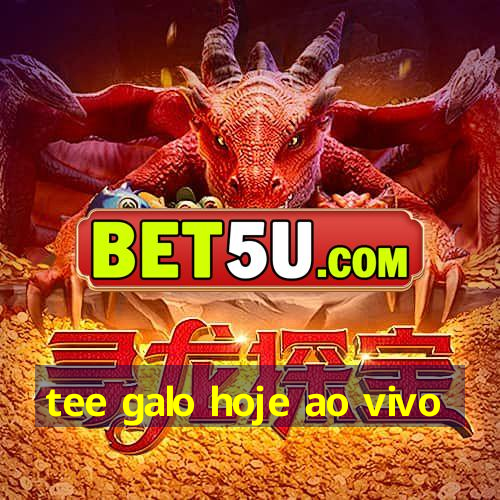 tee galo hoje ao vivo