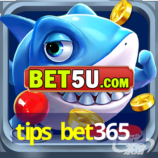 tips bet365