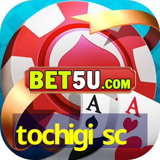 tochigi sc