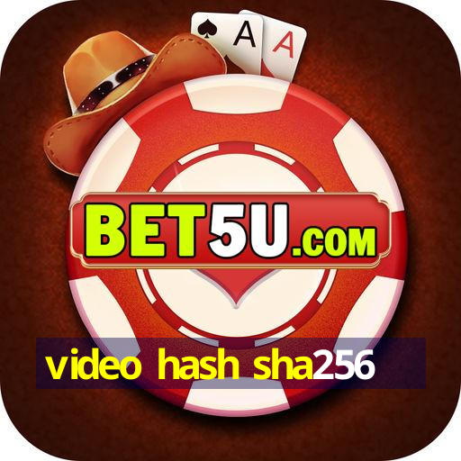 video hash sha256