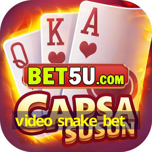 video snake bet