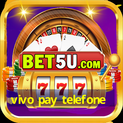 vivo pay telefone