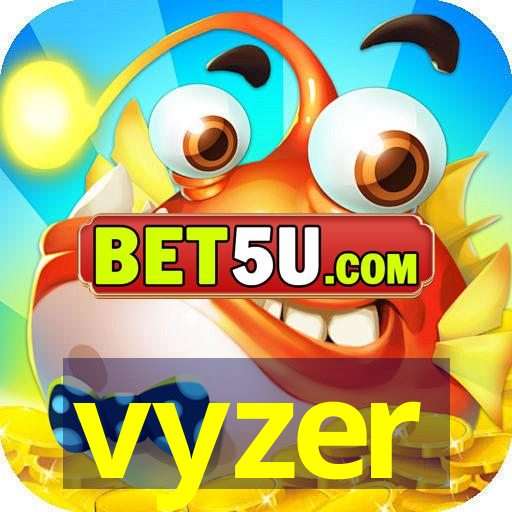 vyzer