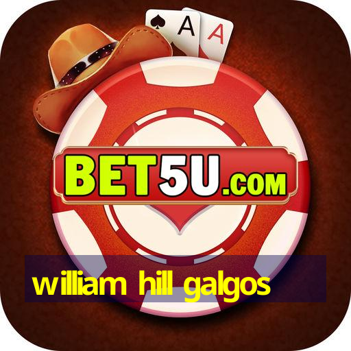 william hill galgos