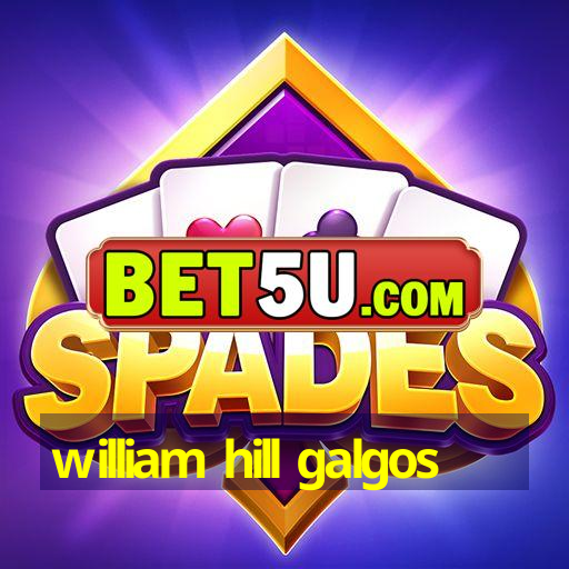 william hill galgos