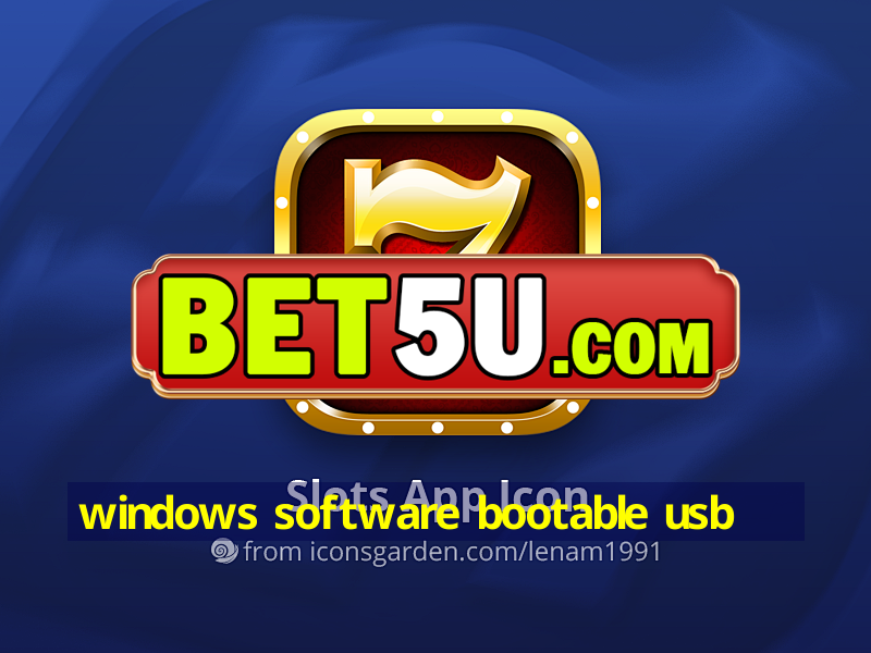 windows software bootable usb