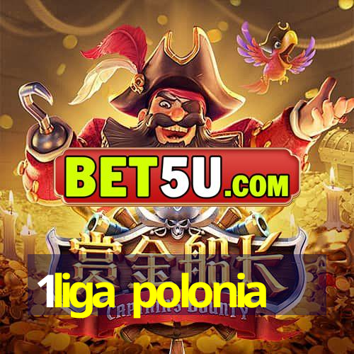 1liga polonia