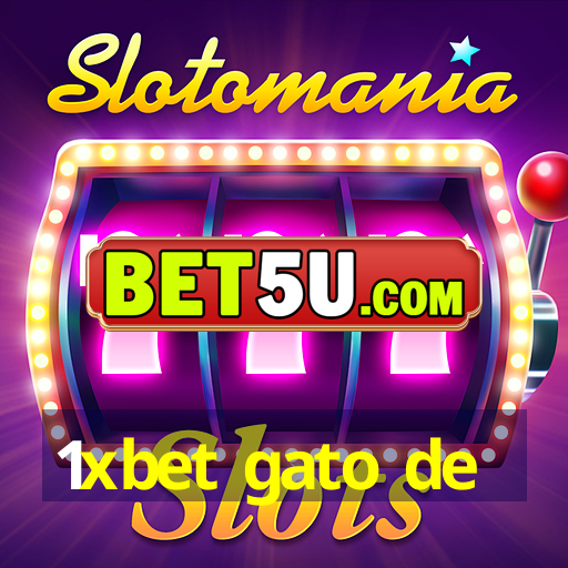 1xbet gato de