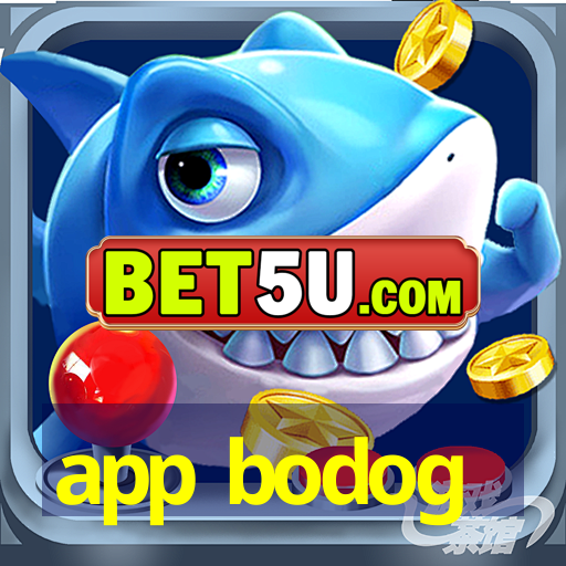 app bodog