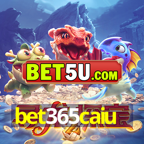 bet365caiu