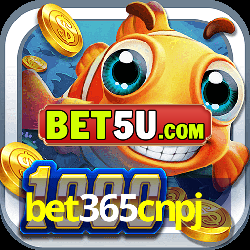 bet365cnpj