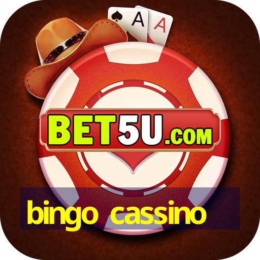 bingo cassino