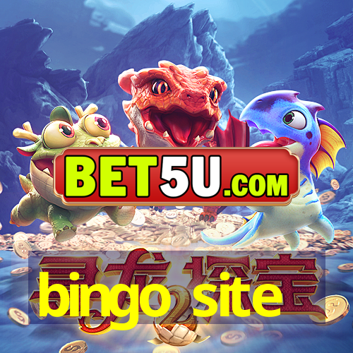 bingo site