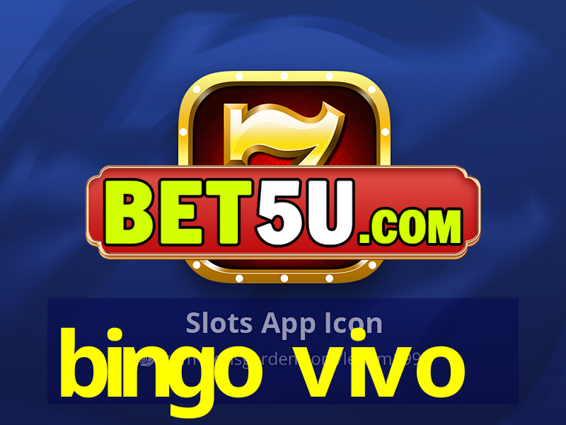 bingo vivo