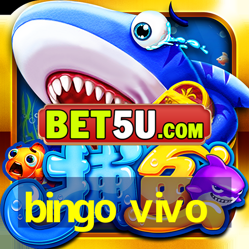 bingo vivo