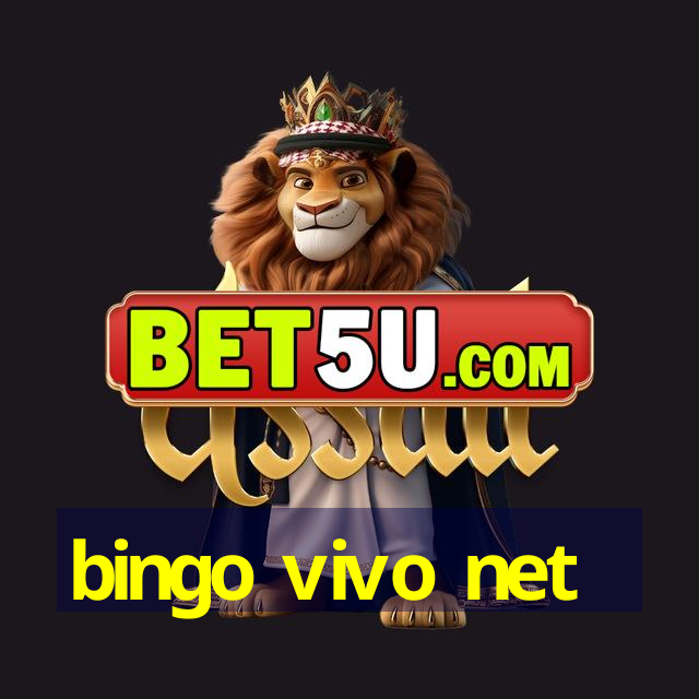 bingo vivo net