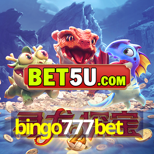 bingo777bet