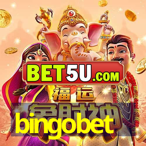 bingobet