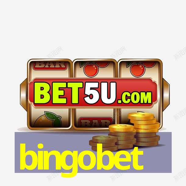 bingobet